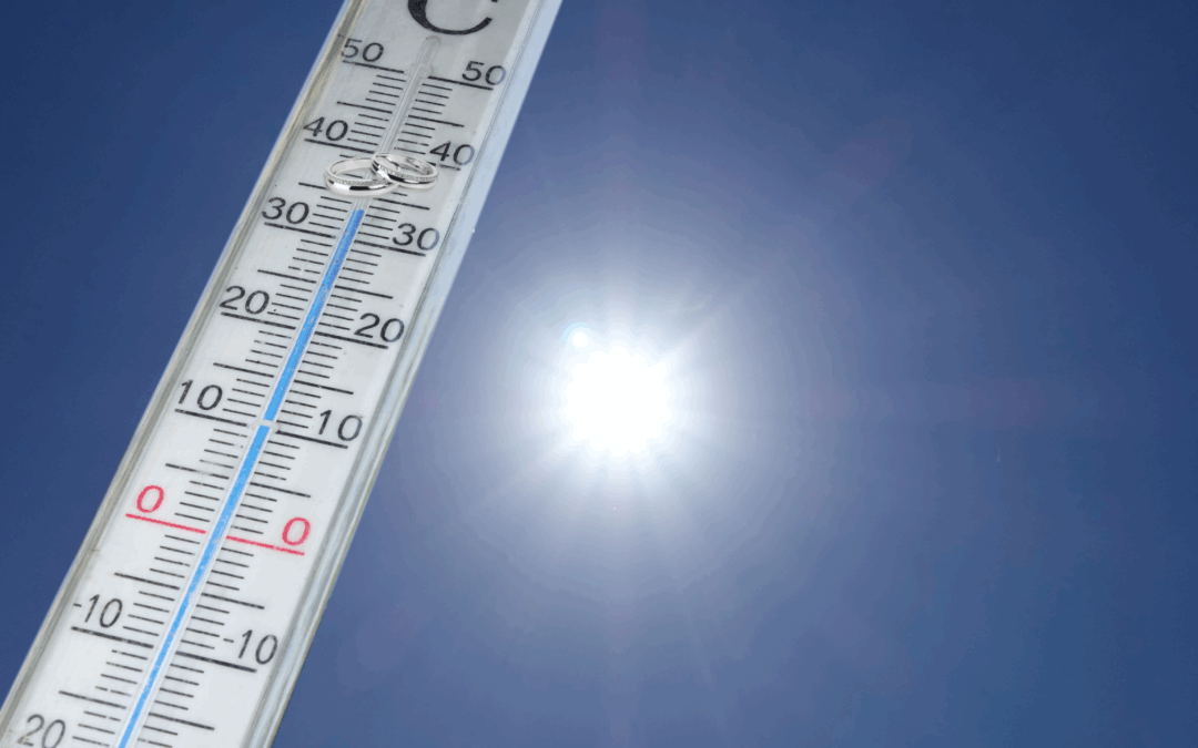 Sommerhochzeit 2025 – Was ist dein Plan B bei Hitze?
